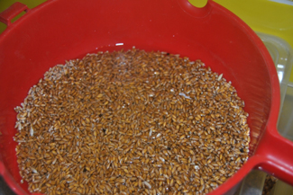 Домашній самогон на пшениці, фото рецепт