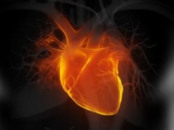 Ізраїльські вчені знайшли новий метод лікування серцевої недостатності