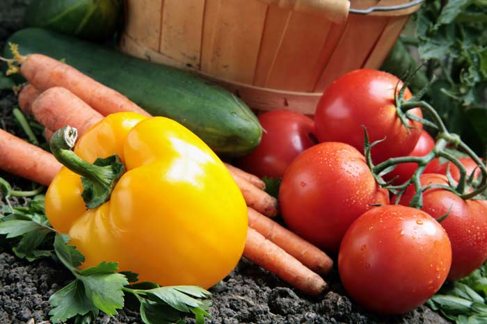 Вирощування овочів круглий рік: практичні поради