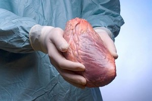 Лікарі клініки Бейлисон імплантували штучне серце