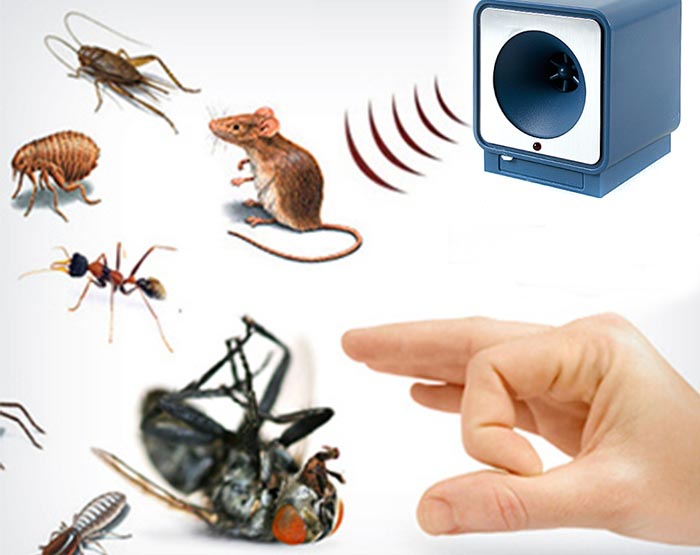 Ультразвуковий відлякувач комах: характеристика та принцип дії, проти яких комах використовувати, популярні виробники, відгуки споживачів, відео