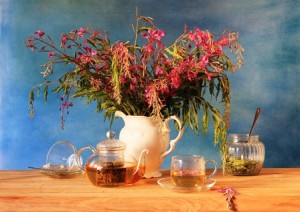 Іван чай – як сушити. Копорскій чай в домашніх умовах (фото)