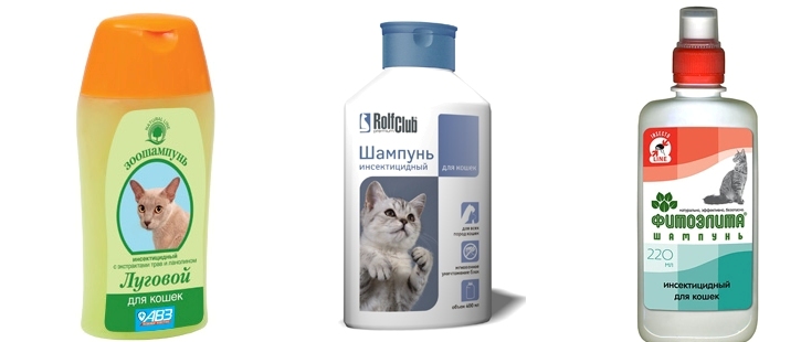 Шампуні від бліх для кішок: популярні види, переваги та недоліки застосування шампунів, правила обробки, відгуки споживачів