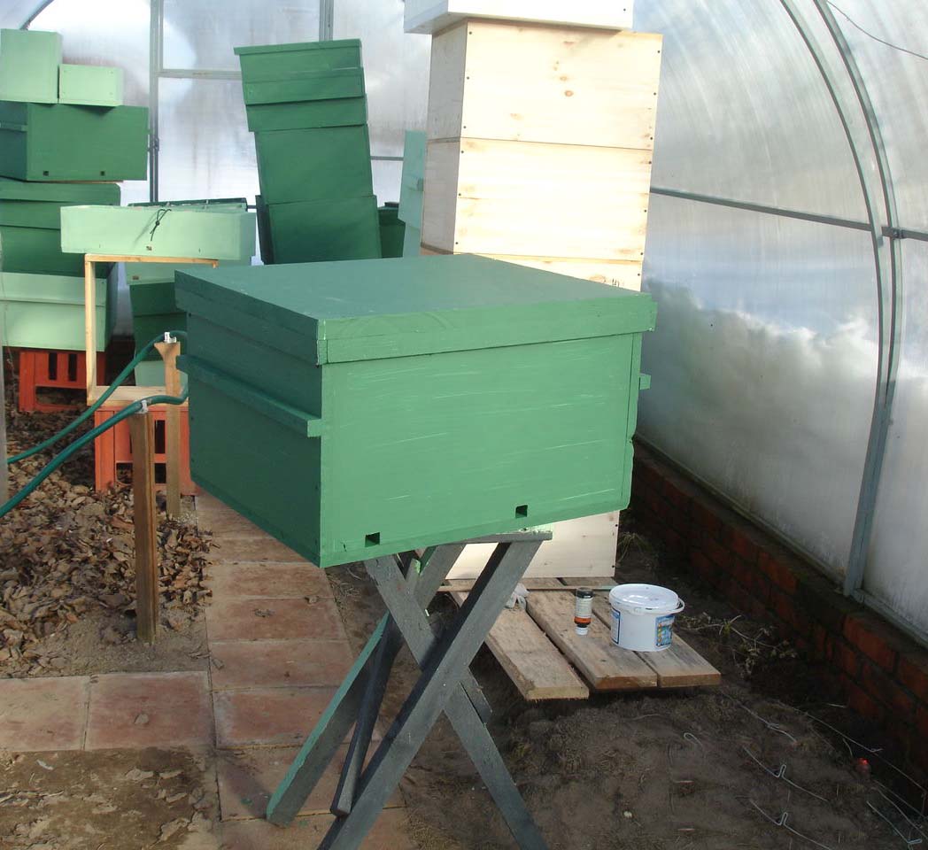 Як відбувається зимівля бджіл у теплиці: важливі моменти