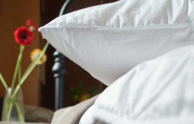 Кліщ у подушці: живуть клопи в подушках, як виявити, який від них шкоди, як від них позбутися