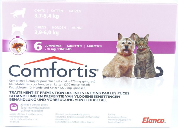 Таблетки від бліх для кішок: відомі виробники, особливості прийому, протипоказання, запобіжні заходи, побічні ефекти, відгуки