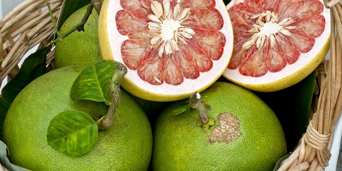 Чим корисно помело для організму: якості і шкоду екзотичного фрукта