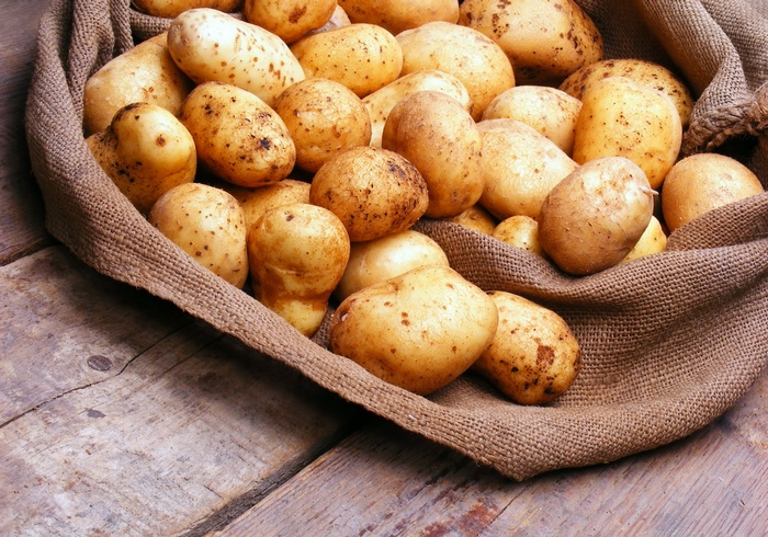 Правила і способи обробки картоплі перед посадкою від колорадського жука