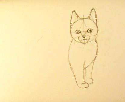 Як намалювати кішку поетапно олівцем, картинки