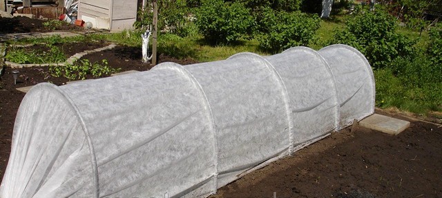 Парник «Даяс» захистить ваш урожай від спеки, холоду та вітру