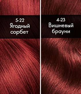 Фарба для волосся Сьес: палітра кольорів (новинки, фото)
