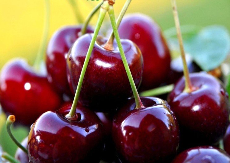 Як готувати лікер будинку — рецепт вишневої наливки | покроковий рецепт з фото Як готувати лікер будинку — рецепт вишневої наливки | покроковий рецепт з фото