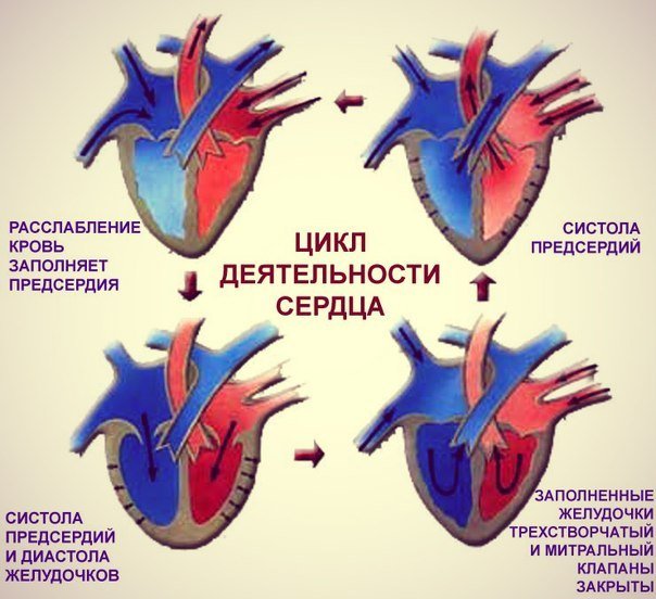 Серцева недостатність: симптоми, лікування, таблетки