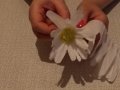 Як зробити обємну ромашку з паперу