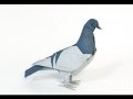 Як зробити голуба з паперу в техніці орігамі