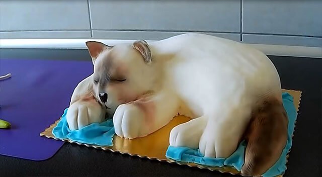 Торт у вигляді «Кішки» | Покроковий майстер клас кота