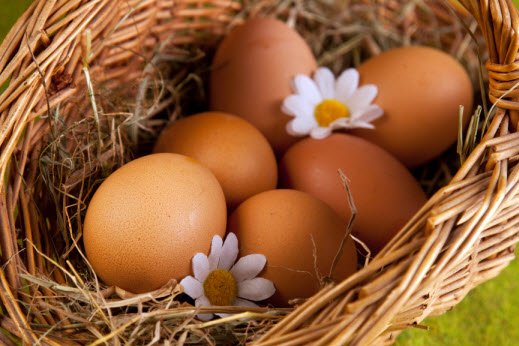 Як мити голову яйцями? Корисні поради