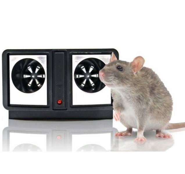 Дієве ультразвукове засіб від мишей та щурів