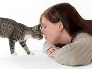 Як позбавити кішку від бліх