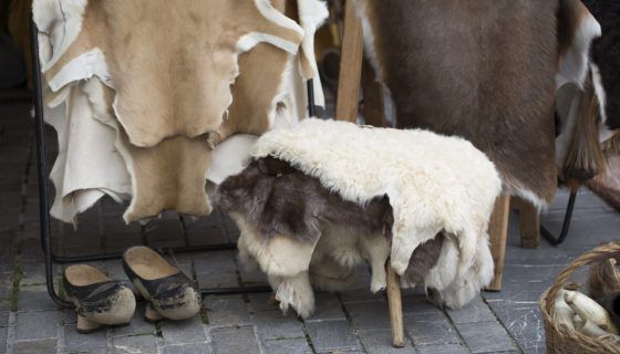 Вичинка овечої шкіри в домашніх умовах: опис