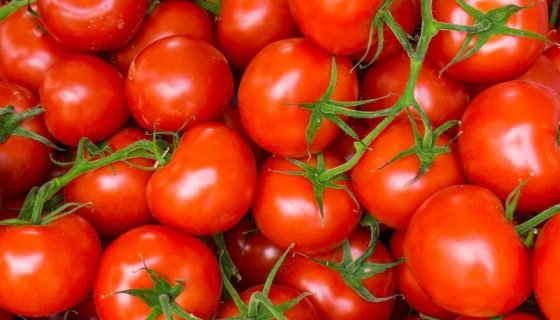 Користь і шкода помідорів для здоровя людини