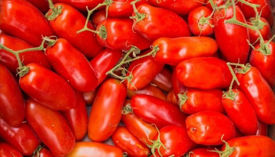 Томат Дамські пальчики: опис сорти помідор, характеристика, відгуки, фото