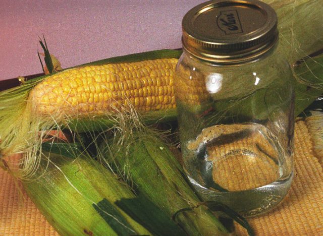 Брага з кукурудзи: на дріжджах, ферментах, цукрі