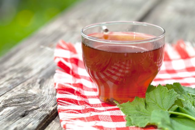 Чай з листя смородини: чим корисний, як правильно заварювати, шкоду