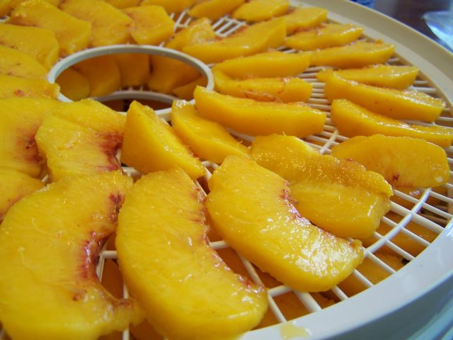 Цукати з персиків на зиму: прості рецепти в домашніх умовах в сушарці, в духовці