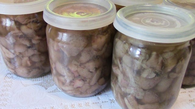 Як солити маслюки на зиму в домашніх умовах: холодний спосіб засолювання грибів, швидкі і смачні рецепти з фото покроково, відео