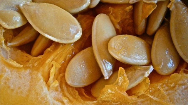 Як сушити гарбузове насіння: користь і шкода, калорійність сушених гарбузового насіння