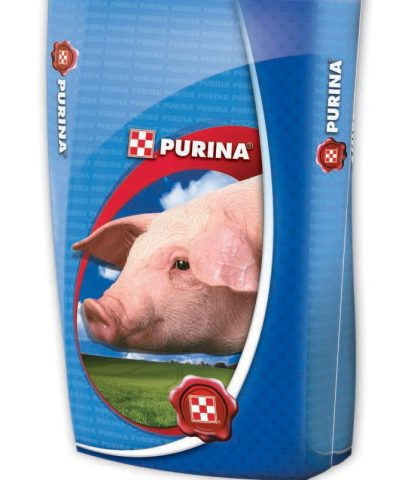 Корм для свиней Пурину (Purina): БВМД, БВМК, склад, відгуки, як давати