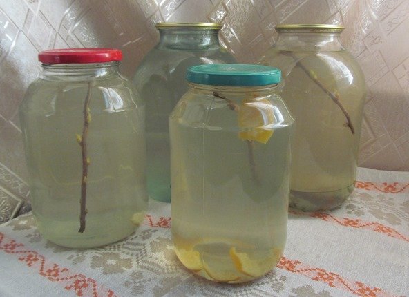 Квас з березового соку в домашніх умовах: на дріжджах, без дріжджів, з медом, з сухофруктами