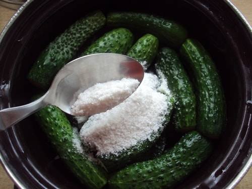 Малосольні огірки: рецепт швидкого приготування в каструлі