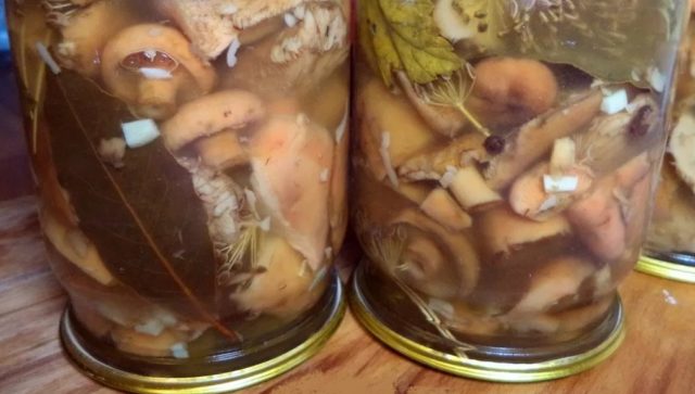 Мариновані гриби на зиму гарячим способом: рецепти приготування