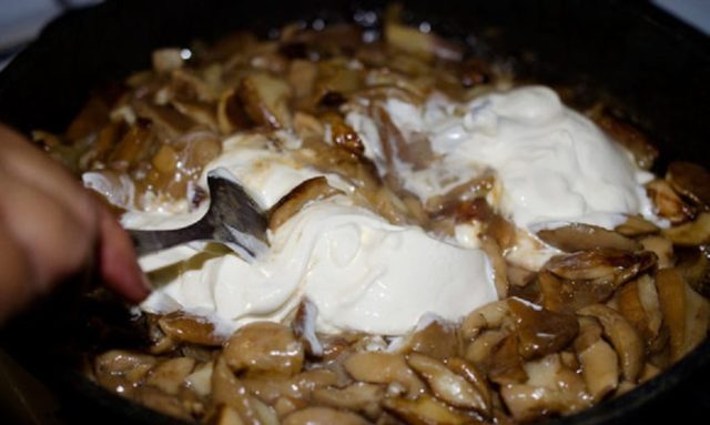 Маслюки смажені (тушковані) в сметані: як посмажити, згасити на сковороді в духовці, зі сметанним, грибним соусом