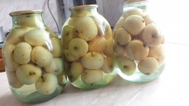 Мочені яблука: рецепт в домашніх умовах