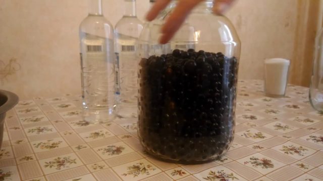 Настоянка чорної смородини: рецепти на горілці, спирту, самогонке
