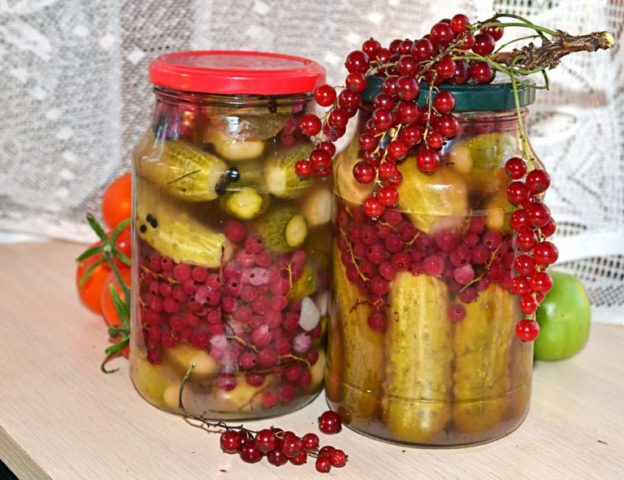 Огірки з червоною смородиною на зиму: мариновані, солоні, з оцтом і без
