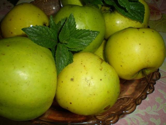 Рецепт мочених яблук Антонівки