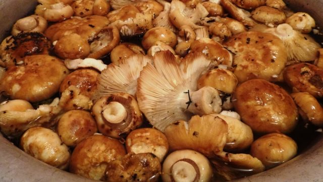 Рецепти маринованих валуєв: скільки вимочувати, як замаринувати, коли можна їсти