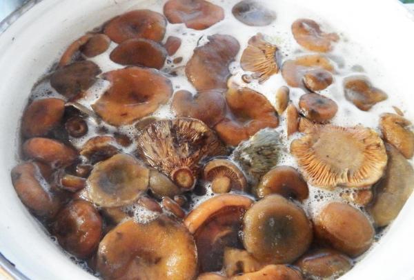 Рижики закисли: що робити, якщо солоні гриби забродили