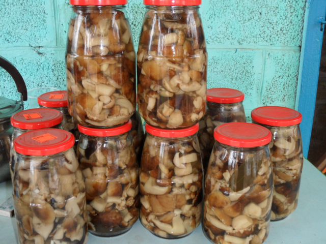 Валуї: рецепти приготування, як швидко і легко почистити гриби