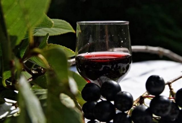 Вино з бузини: рецепти з червоної, з чорної бузини, з квітів