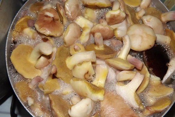 Смажені маслюки на зиму: рецепти приготування на сковороді, як заготовити, як смажити
