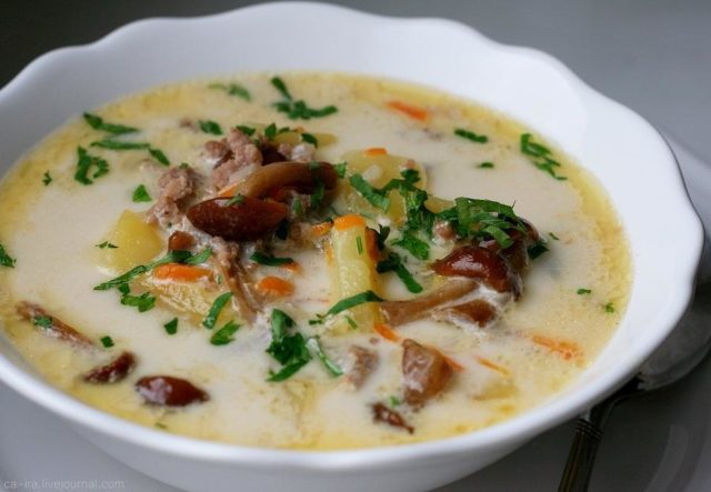 Суп з опеньками і плавленим сиром: рецепти зі свіжих і заморожених грибів