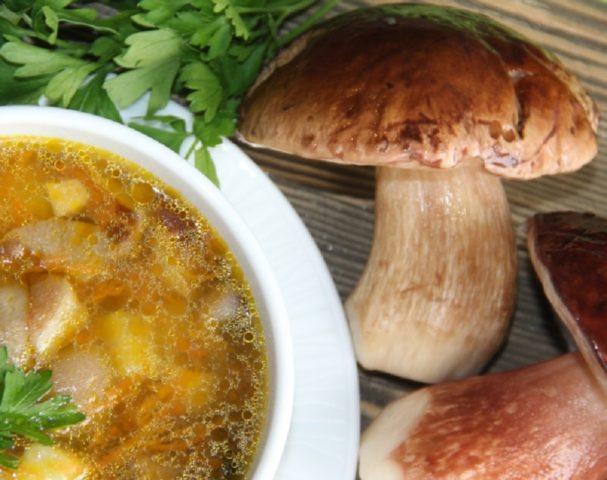 Локшина з білими грибами: рецепти з замороженими, сухими і свіжими грибами