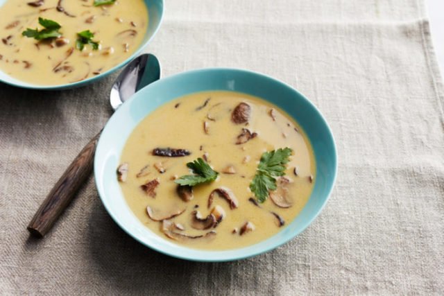 Суп з опеньками і плавленим сиром: рецепти зі свіжих і заморожених грибів