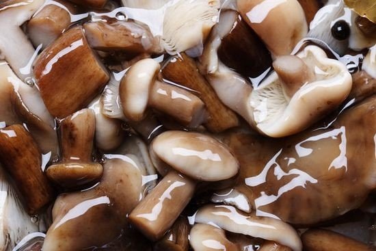 Як солити білі гриби на зиму гарячим і холодним способом: смачні рецепти