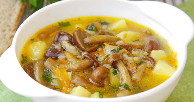 Суп з маринованих опеньків: покрокові рецепти приготування з фото
